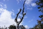 DSC01367