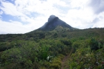 DSC01365