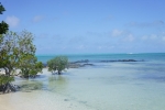DSC00929