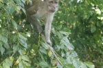 DSC00908