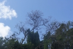 DSC00916