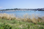 SONY DSC