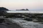 SONY DSC