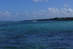 DSC03774