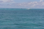 DSC03300