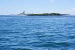 DSC03906