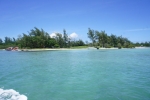 DSC03990