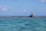 DSC01571