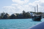 DSC01568
