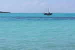 DSC01519