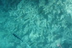 DSC01579