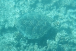 DSC01585