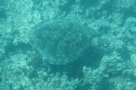 DSC01586