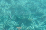 DSC01588