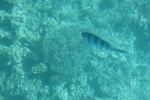 DSC01589