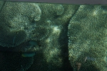 DSC01573