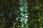 DSC01071