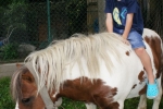 DSC09908