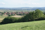 DSC00209