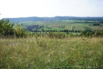 DSC00223