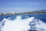 SONY DSC