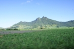 DSC03144