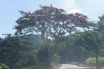 DSC03147