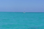 DSC01253