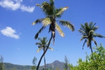 DSC01286