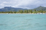 DSC00559
