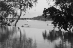DSC02582