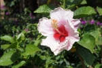 DSC01946